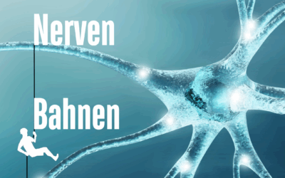 Bildung der Nervenbahnen