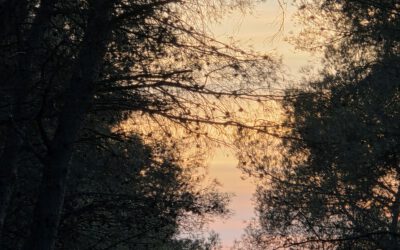 Melancholie in Tor 10