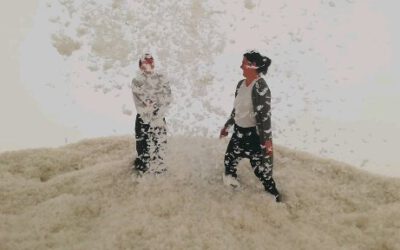 Intelligenz Entwicklung